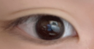 80a749ccd854a25f88db364b0564fd3e_1636010385_2461.png