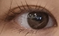 80a749ccd854a25f88db364b0564fd3e_1636012086_4117.png