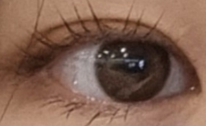80a749ccd854a25f88db364b0564fd3e_1636012086_4117.png