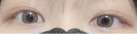 2bfa6bb09c6f9b162635a3b0a563288e_1646879727_4456.png