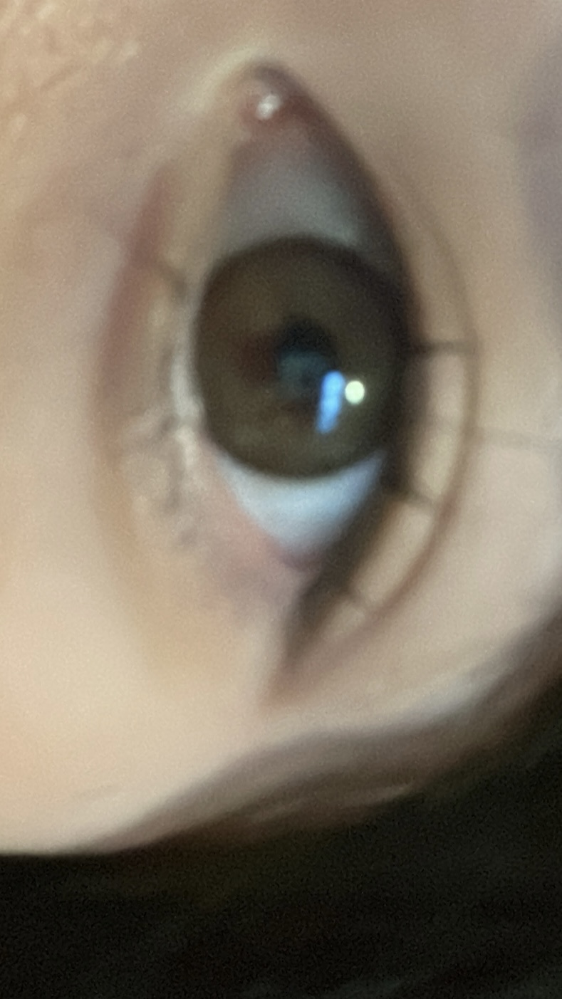 3029416096__4dd7c51a0b02b6003f162e4e5d045a6fa64c1967.jpeg